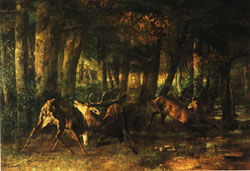 Spring Rutting;Battle of Stags